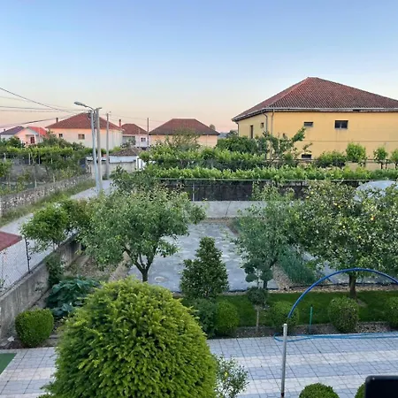 Zekajs Shkodër